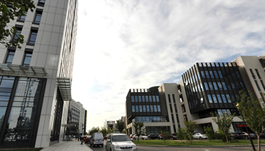 夏县杨村农业科技示范园区